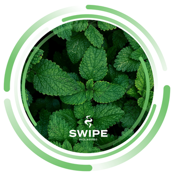 Бестабачная смесь Swipe Mint (Свайп Мята) sw_0097 фото