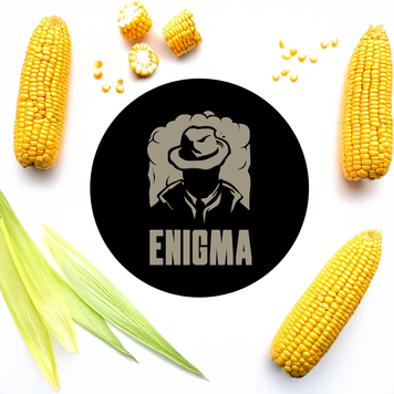 Тютюн Enigma Pachamama (Кукурудза) eni0062-4 фото