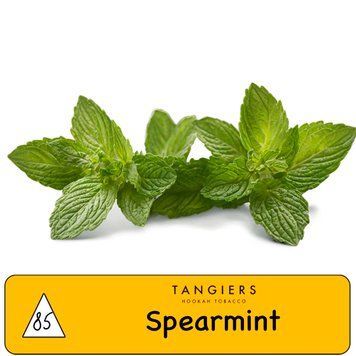 Тютюн Tangiers (Танж) Noir Spearmint (Перечна М'ята) tang0055 фото