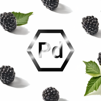 Табак Palladium Blackberry (Ежевика) pal0050 фото
